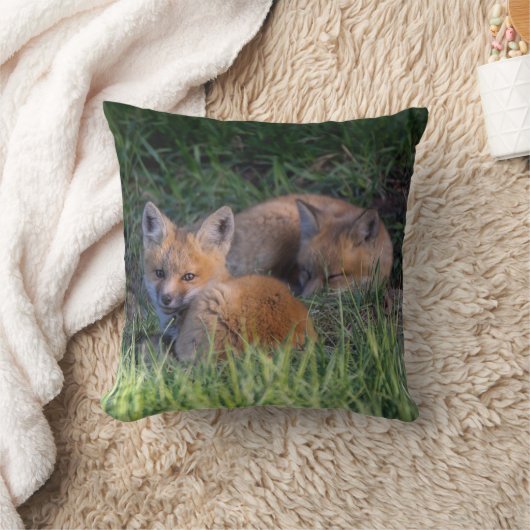 最も可愛い赤ん坊の動物 |赤キツネキット兄弟姉妹 クッション (ブランケット)