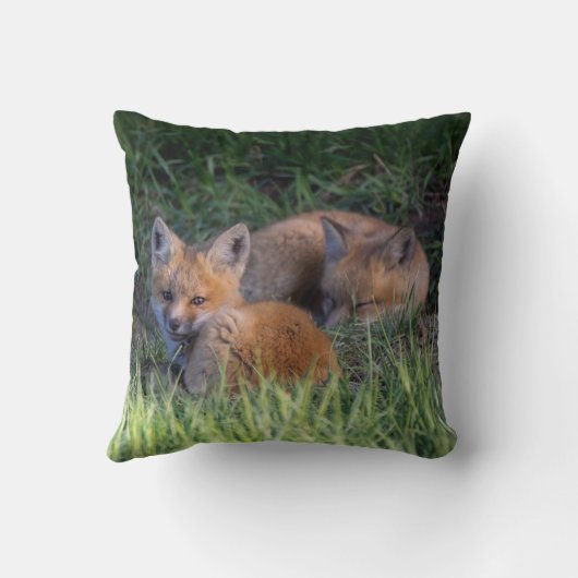 最も可愛い赤ん坊の動物 |赤キツネキット兄弟姉妹 クッション (裏面)