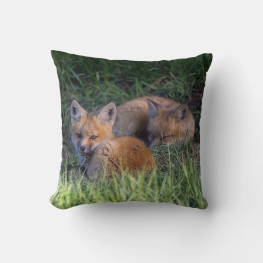 最も可愛い赤ん坊の動物 |赤キツネキット兄弟姉妹 クッション (正面)