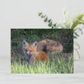 最も可愛い赤ん坊の動物 |赤キツネキット兄弟姉妹 サンキューカード (スタンド正面)