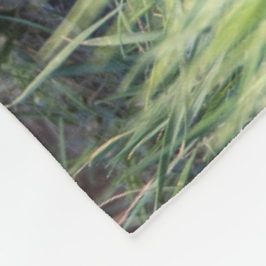 最も可愛い赤ん坊の動物 |赤キツネキット兄弟姉妹 フリースブランケット (角)