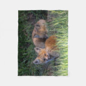 最も可愛い赤ん坊の動物 |赤キツネキット兄弟姉妹 フリースブランケット (正面)