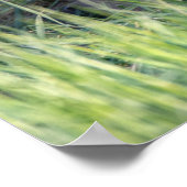 最も可愛い赤ん坊の動物 |赤キツネキット兄弟姉妹 ポスター (角)