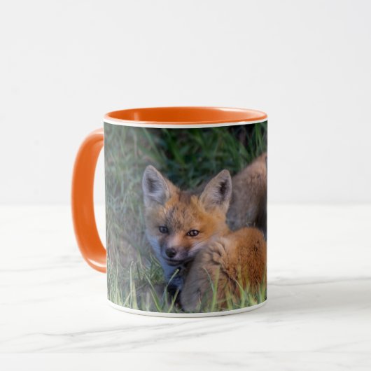 最も可愛い赤ん坊の動物 |赤キツネキット兄弟姉妹 マグカップ (正面左)