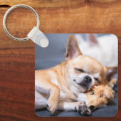 最も可愛い赤ん坊の動物 |赤毛チワホアドッグ キーホルダー (正面)