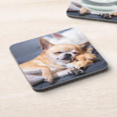 最も可愛い赤ん坊の動物 |赤毛チワホアドッグ コースター (左側)