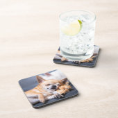 最も可愛い赤ん坊の動物 |赤毛チワホアドッグ コースター (右側)