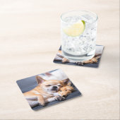 最も可愛い赤ん坊の動物 |赤毛チワホアドッグ スクエアペーパーコースター (インサイチュ)