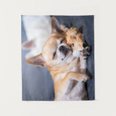 最も可愛い赤ん坊の動物 |赤毛チワホアドッグ タペストリー (正面)