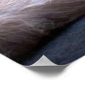 最も可愛い赤ん坊の動物 |赤毛チワホアドッグ ポスター (角)