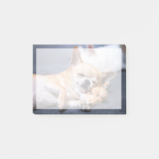 最も可愛い赤ん坊の動物 |赤毛チワホアドッグ ポストイット (正面)