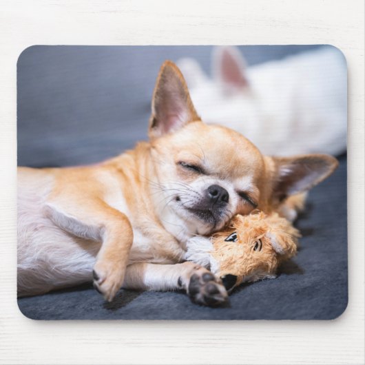 最も可愛い赤ん坊の動物 |赤毛チワホアドッグ マウスパッド (正面)