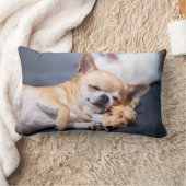 最も可愛い赤ん坊の動物 |赤毛チワホアドッグ ランバークッション (ブランケット)