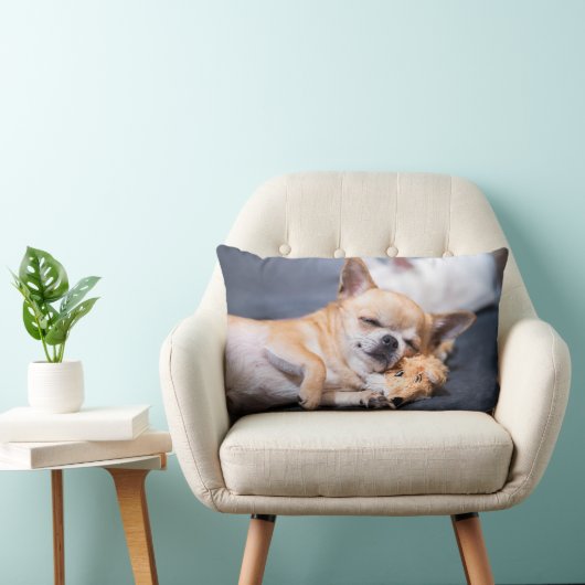 最も可愛い赤ん坊の動物 |赤毛チワホアドッグ ランバークッション (椅子)