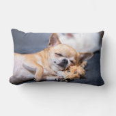 最も可愛い赤ん坊の動物 |赤毛チワホアドッグ ランバークッション (正面)