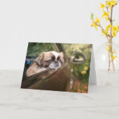 最も可愛い赤ん坊の動物 車の中のピーゲスの子犬|ピーゲス カード (黄色い花)