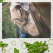 最も可愛い赤ん坊の動物 車の中のピーゲスの子犬|ピーゲス キッチンタオル (折り畳み)