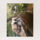 最も可愛い赤ん坊の動物 車の中のピーゲスの子犬|ピーゲス ジグソーパズル (縦)