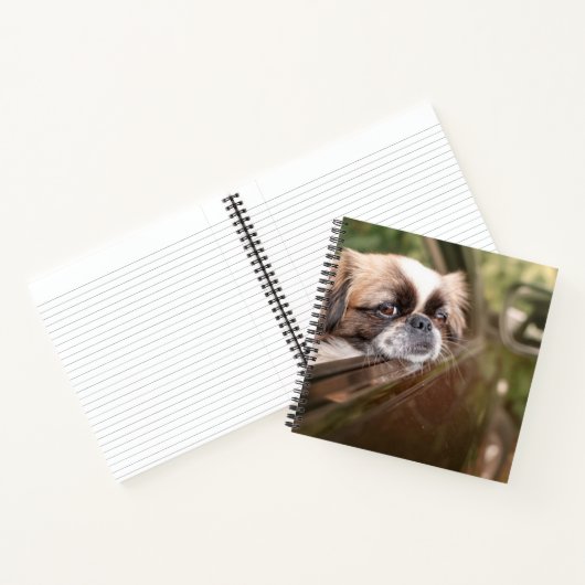 最も可愛い赤ん坊の動物 車の中のピーゲスの子犬|ピーゲス ノートブック (内部)