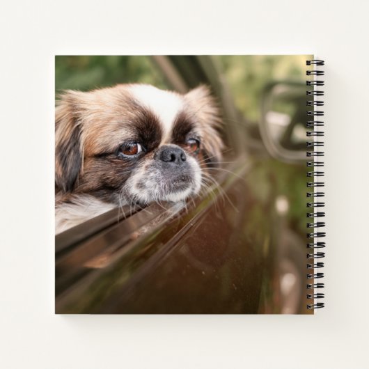 最も可愛い赤ん坊の動物 車の中のピーゲスの子犬|ピーゲス ノートブック (裏面)