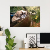 最も可愛い赤ん坊の動物 車の中のピーゲスの子犬|ピーゲス ポスター (ホームオフィス)