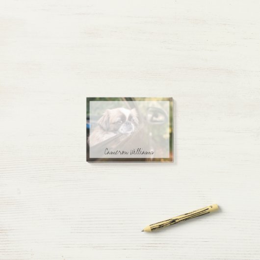 最も可愛い赤ん坊の動物 車の中のピーゲスの子犬|ピーゲス ポストイット (デスク上)