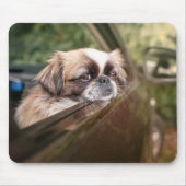 最も可愛い赤ん坊の動物 車の中のピーゲスの子犬|ピーゲス マウスパッド (正面)