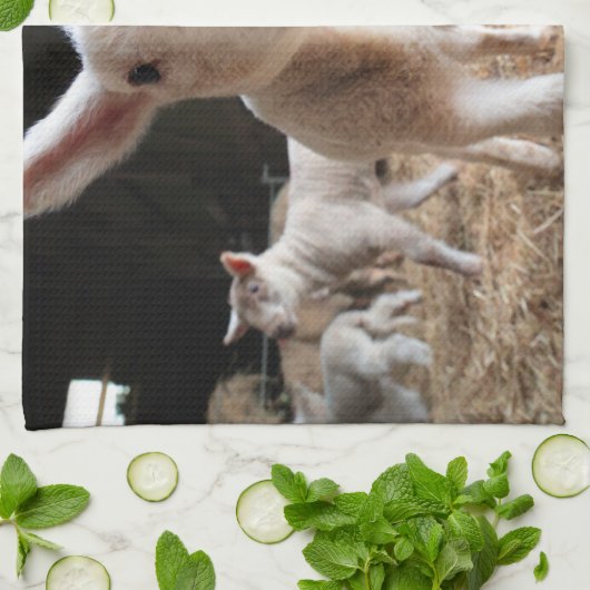 最も可愛い赤ん坊の動物 |農場で可愛い子羊 キッチンタオル (折り畳み)