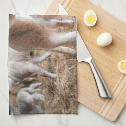 最も可愛い赤ん坊の動物 |農場で可愛い子羊 キッチンタオル (四つ折り)