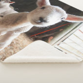 最も可愛い赤ん坊の動物 |農場で可愛い子羊 シェルパブランケット (3/4)