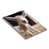 最も可愛い赤ん坊の動物 |農場で可愛い子羊 ノートブック (右側)