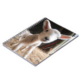 最も可愛い赤ん坊の動物 |農場で可愛い子羊 ノートブック (左側)