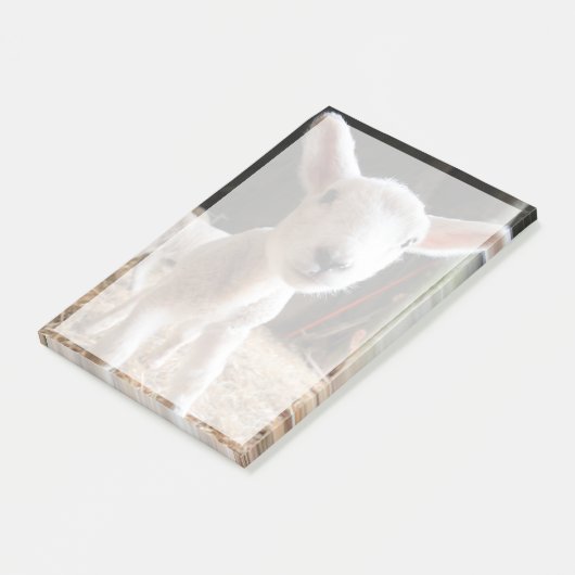 最も可愛い赤ん坊の動物 |農場で可愛い子羊 ポストイット (アングル)