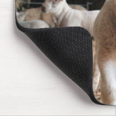 最も可愛い赤ん坊の動物 |農場で可愛い子羊 マウスパッド (コーナー)