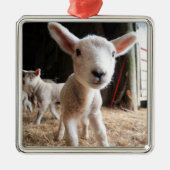 最も可愛い赤ん坊の動物 |農場で可愛い子羊 メタルオーナメント (正面)