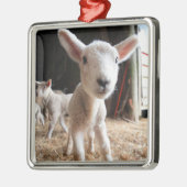 最も可愛い赤ん坊の動物 |農場で可愛い子羊 メタルオーナメント (左)