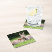 最も可愛い赤ん坊の動物 |野生のウサギ スクエアペーパーコースター (インサイチュ)