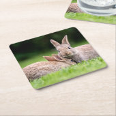 最も可愛い赤ん坊の動物 |野生のウサギ スクエアペーパーコースター (アングル)