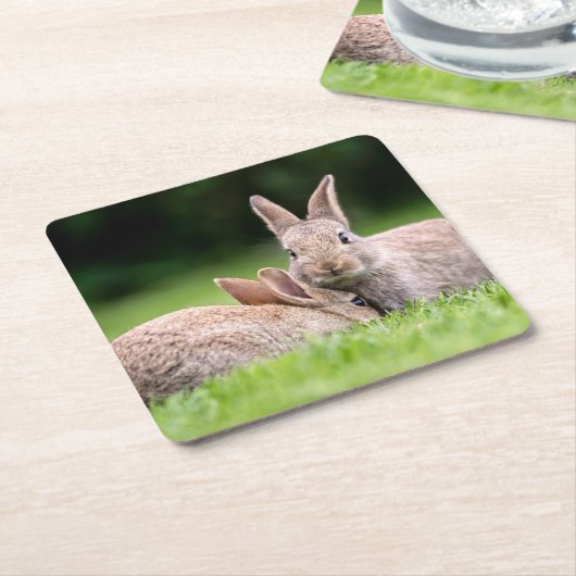 最も可愛い赤ん坊の動物 |野生のウサギ スクエアペーパーコースター (アングル)