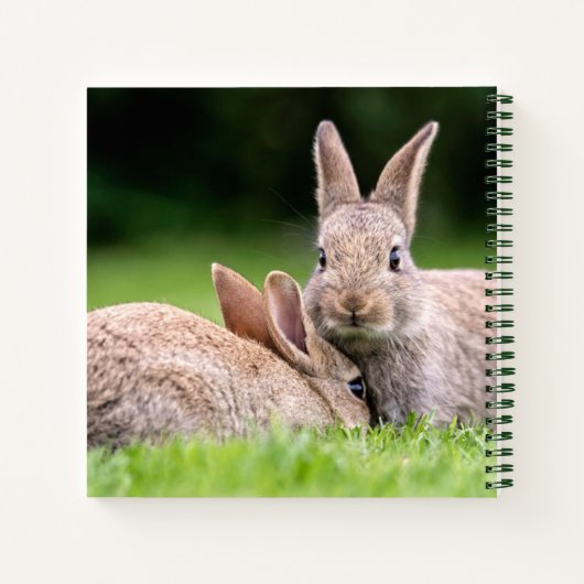 最も可愛い赤ん坊の動物 |野生のウサギ ノートブック (裏面)