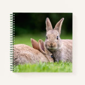 最も可愛い赤ん坊の動物 |野生のウサギ ノートブック (正面)