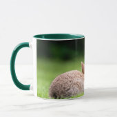 最も可愛い赤ん坊の動物 |野生のウサギ マグカップ (左)