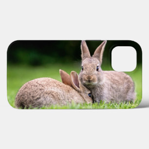 最も可愛い赤ん坊の動物 野生のウサギ iPhone 13ケース