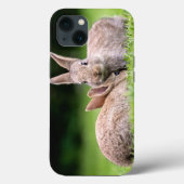 最も可愛い赤ん坊の動物 |野生のウサギ Case-Mate iPhoneケース (裏面)