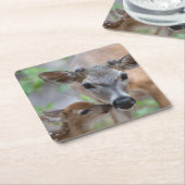 最も可愛い赤ん坊の動物 |鍵鹿の鹿の鹿と子鹿 スクエアペーパーコースター (アングル)