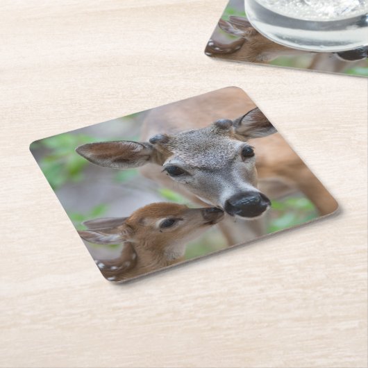 最も可愛い赤ん坊の動物 |鍵鹿の鹿の鹿と子鹿 スクエアペーパーコースター (アングル)
