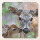 最も可愛い赤ん坊の動物 |鍵鹿の鹿の鹿と子鹿 スクエアペーパーコースター (正面)