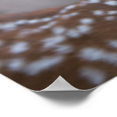 最も可愛い赤ん坊の動物 |鍵鹿の鹿の鹿と子鹿 ポスター (角)