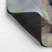 最も可愛い赤ん坊の動物 |鍵鹿の鹿の鹿と子鹿 マウスパッド (コーナー)