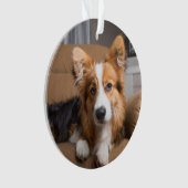 最も可愛い赤ん坊の動物 |長い髪のコージの子犬 オーナメント (正面)